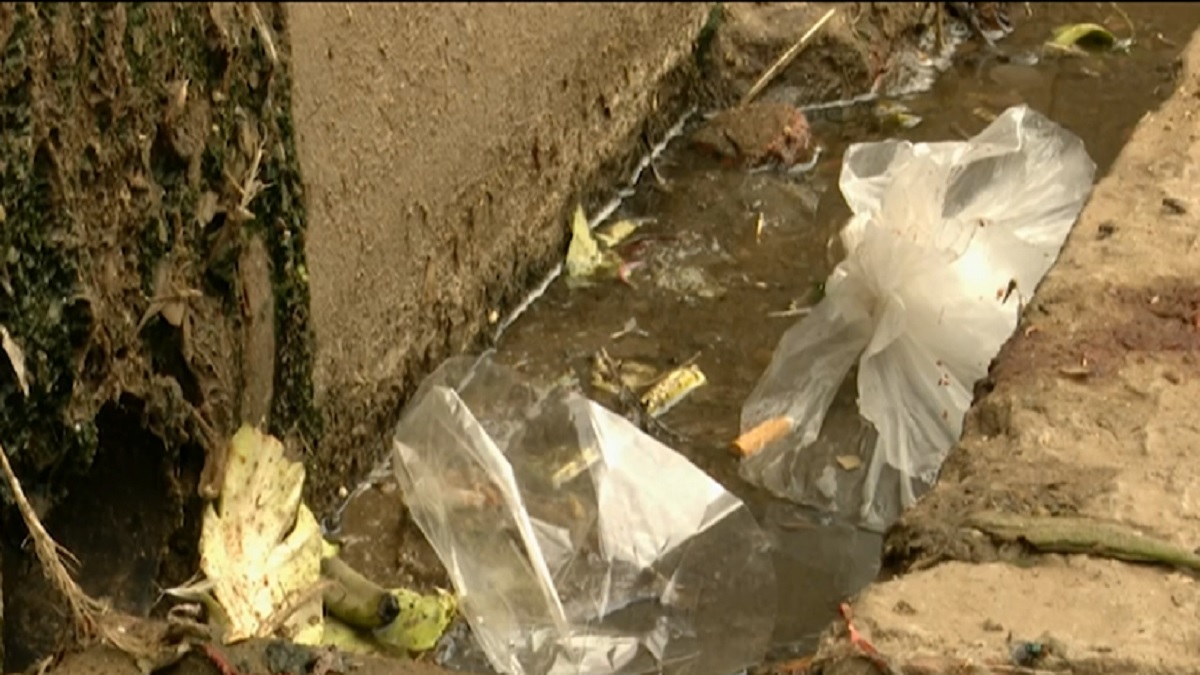 রাজধানীতে ডেঙ্গুরোগীর ১৭ শতাংশ যাত্রাবাড়ীর