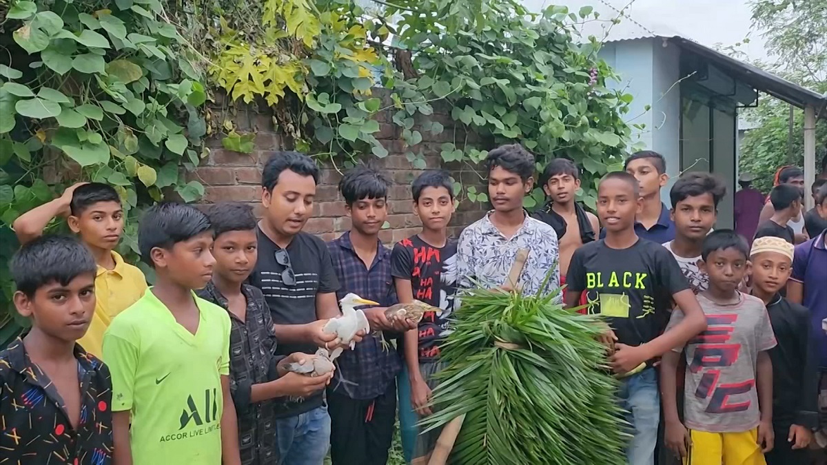 নাটোরে শিকারির বাড়ি থেকে অর্ধশত পাখি উদ্ধার করে অবমুক্ত