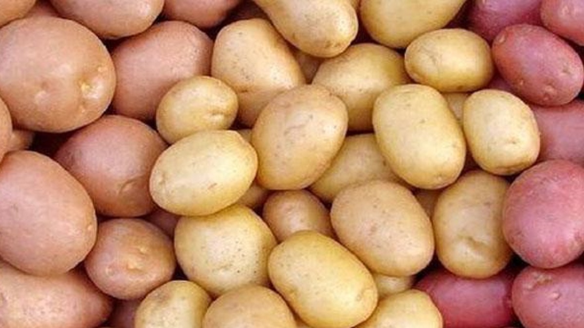 আলুর বাজারে অস্থিরতা: সপ্তাহের ব্যবধানে কেজিতে বেড়েছে ৫ টাকা