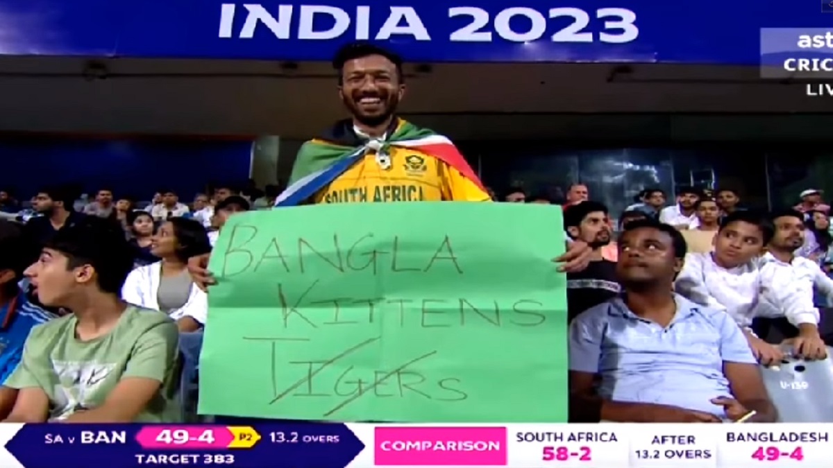 ‘বাংলার বাঘ’ কি তবে ‘বাংলার বিড়ালছানা’?