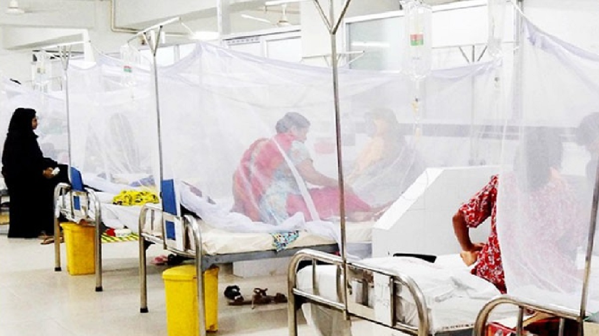 ডেঙ্গুতে আরও ১৩ জনের প্রাণহানি