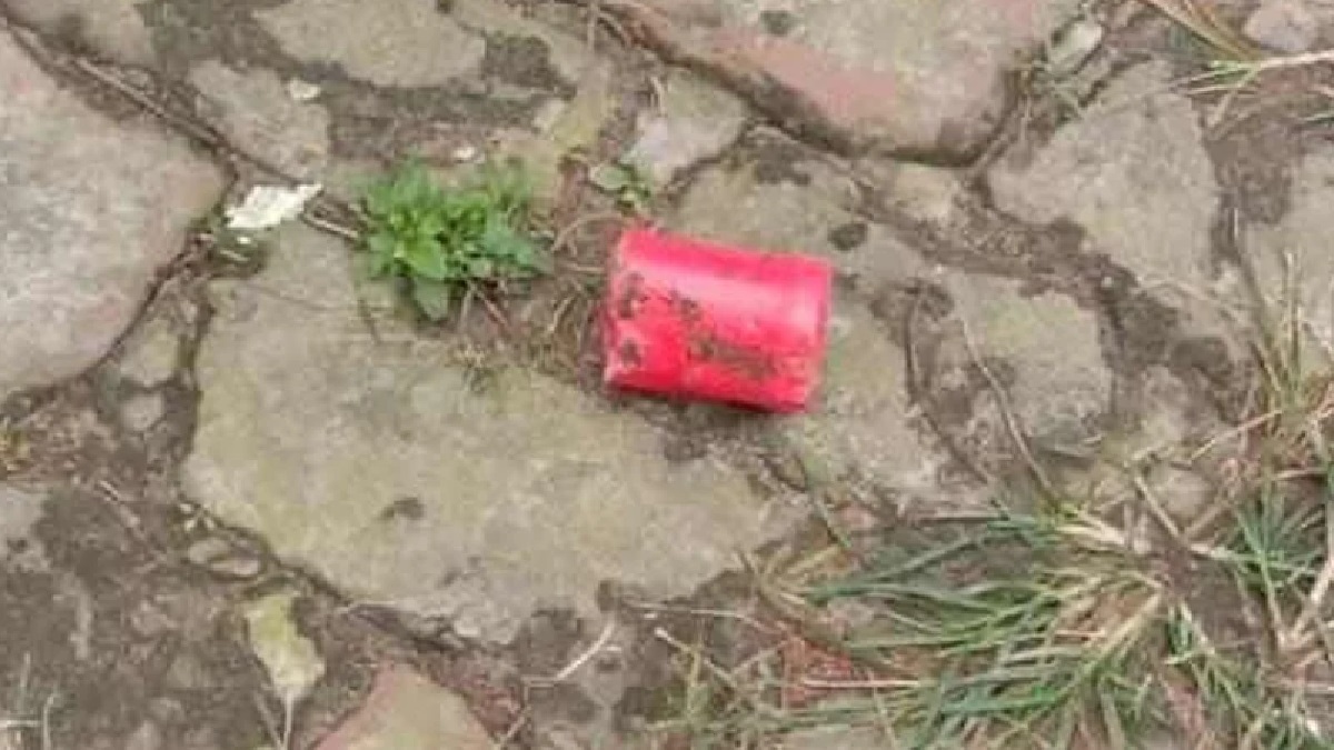 মির্জা আব্বাসের বাসায় ককটেল নিক্ষেপ