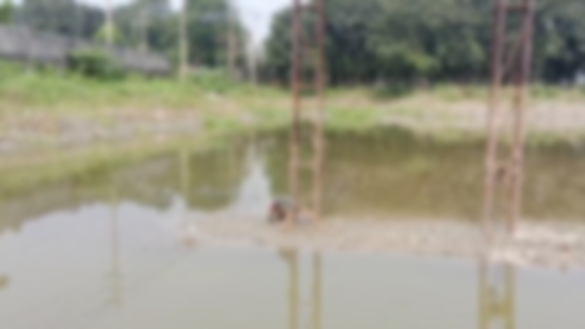 মানিকগঞ্জে খুঁটির সাথে বাঁধা গলিত মরদেহ উদ্ধার