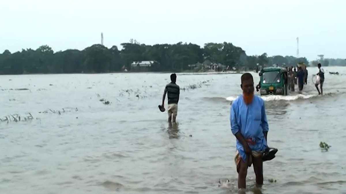 নেত্রকোণায় আশ্বিনের অতিবৃষ্টিতে ভেসে গেছে সহস্রাধিক ঘেরের মাছ