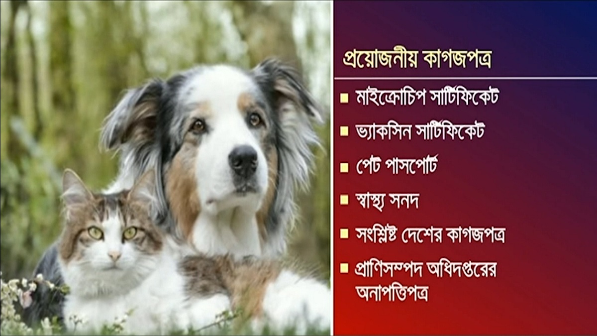 দেশ থেকে পোষা প্রাণীকে নিয়ে বিদেশ যাবেন? জেনে নিন প্রক্রিয়া