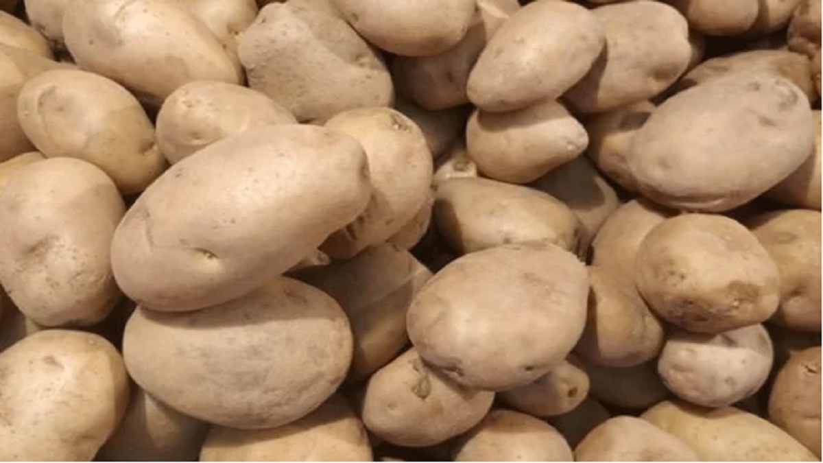 শনি-রোববার আসতে পারে আমদানিকৃত আলু