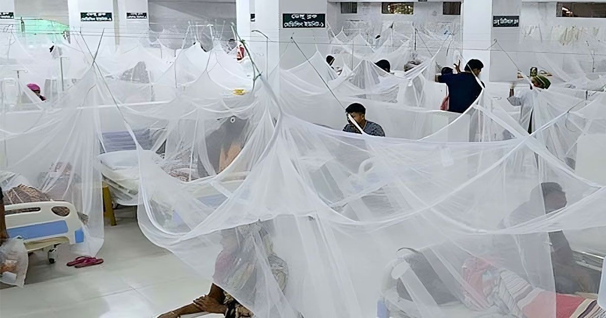 ডেঙ্গুতে মৃত্যুহীন দিন দেখলো দেশ