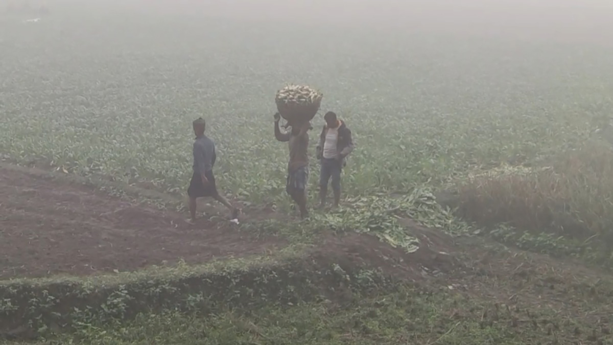 টানা ৫ দিন ধরে সর্বনিম্ন তাপমাত্রা পঞ্চগড়ে