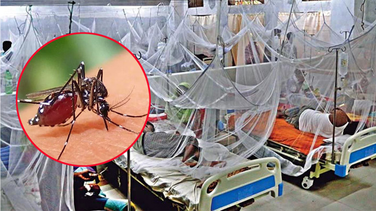 ডেঙ্গুতে আক্রান্ত হয়ে একদিনে হাসপাতালে ভর্তি আড়াই শতাধিক, নেই মৃত্যু
