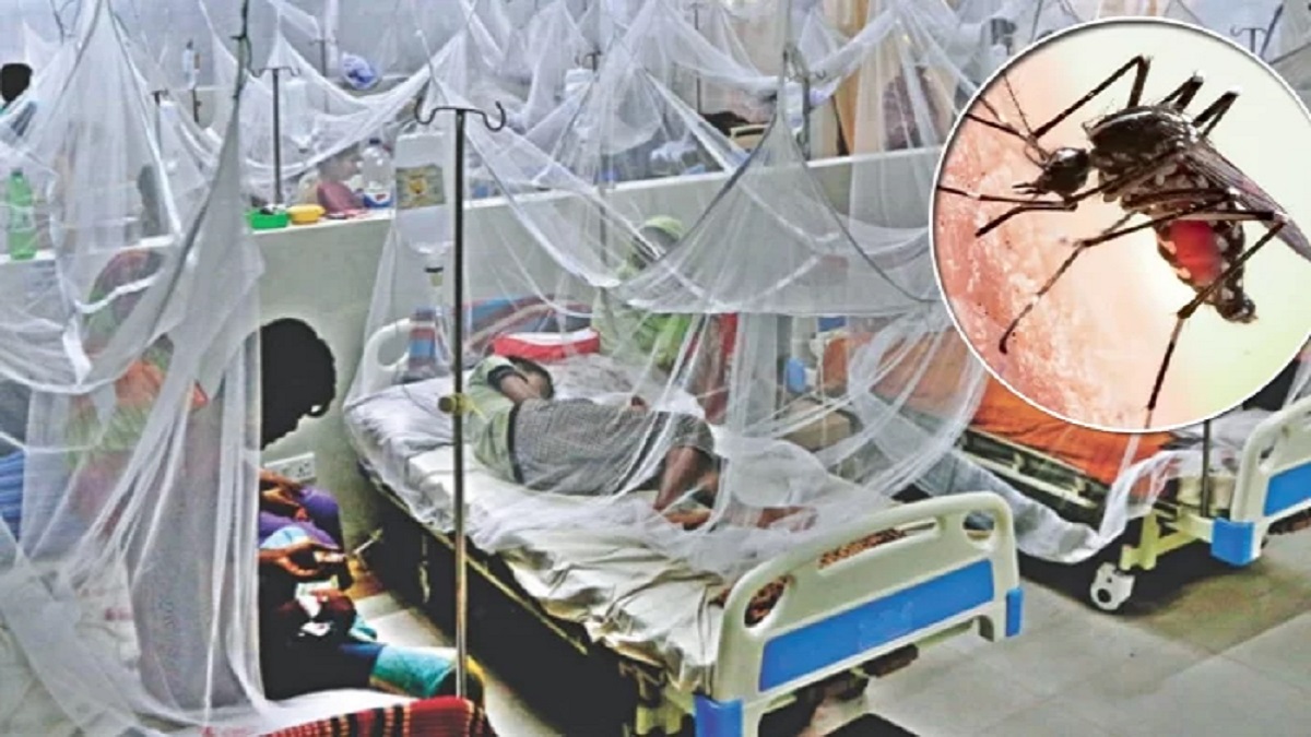 ২৪ ঘণ্টায় ডেঙ্গু আক্রান্ত হয়ে হাসপাতালে আরও ৩ শতাধিক রোগী