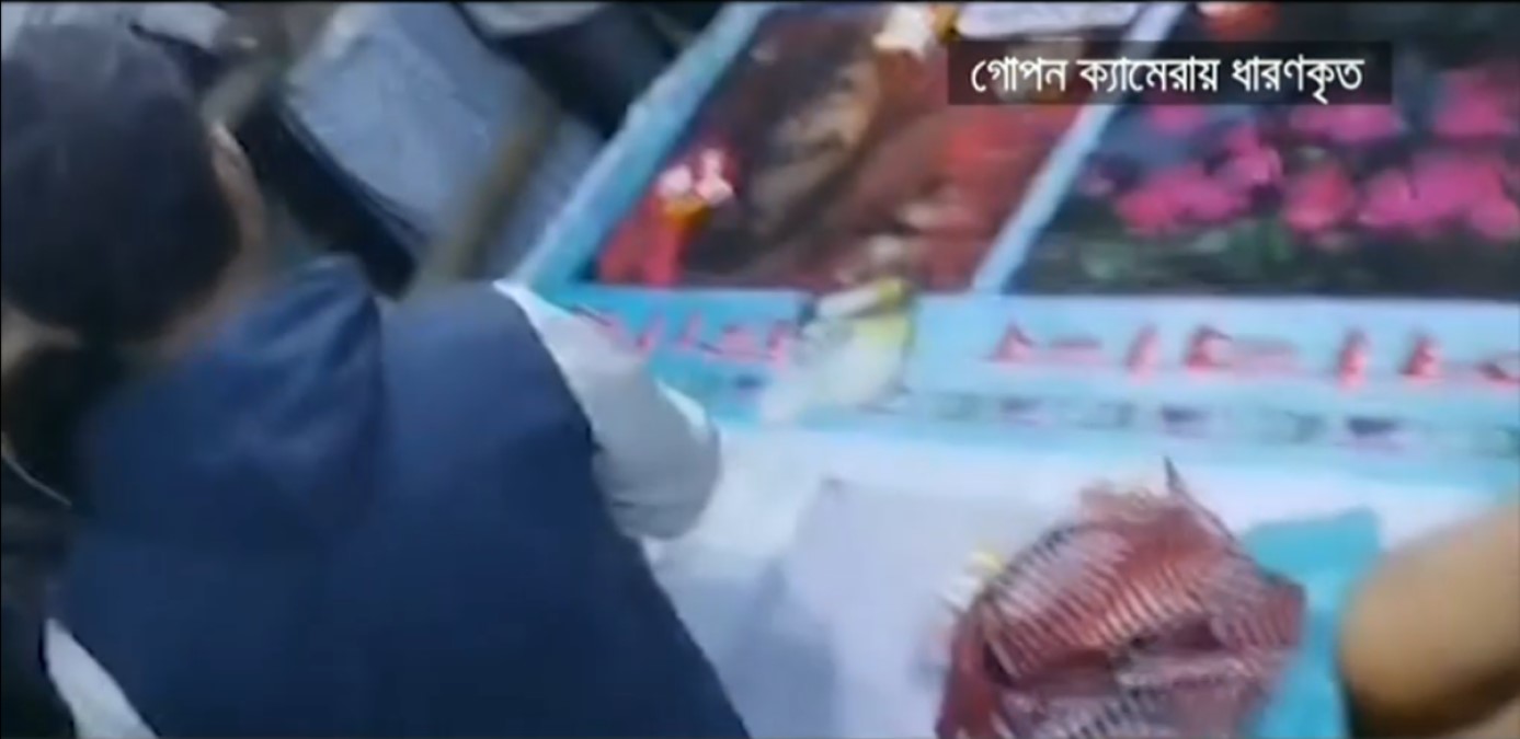 যমুনা টিভিতে প্রচারের পর ভেঙে দেয়া হলো বিআইডব্লিউটিএ ইকো পার্কের জুয়ার আসর