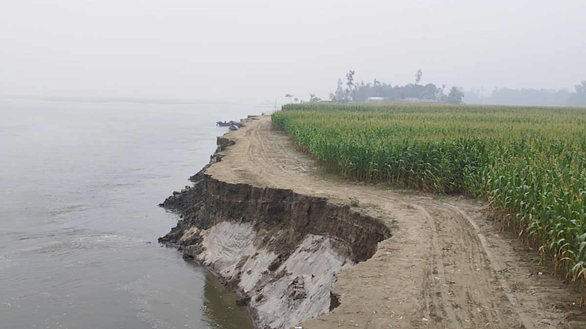 জামালপুরে অসময়ে ব্রহ্মপুত্রের ভাঙ্গন, দিশেহারা নদীপাড়ের মানুষ
