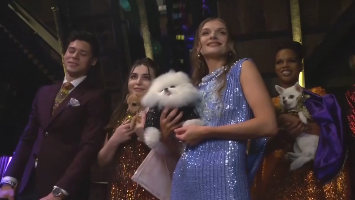 নিউ ইয়র্কে বসেছে ‘পেট গালা’