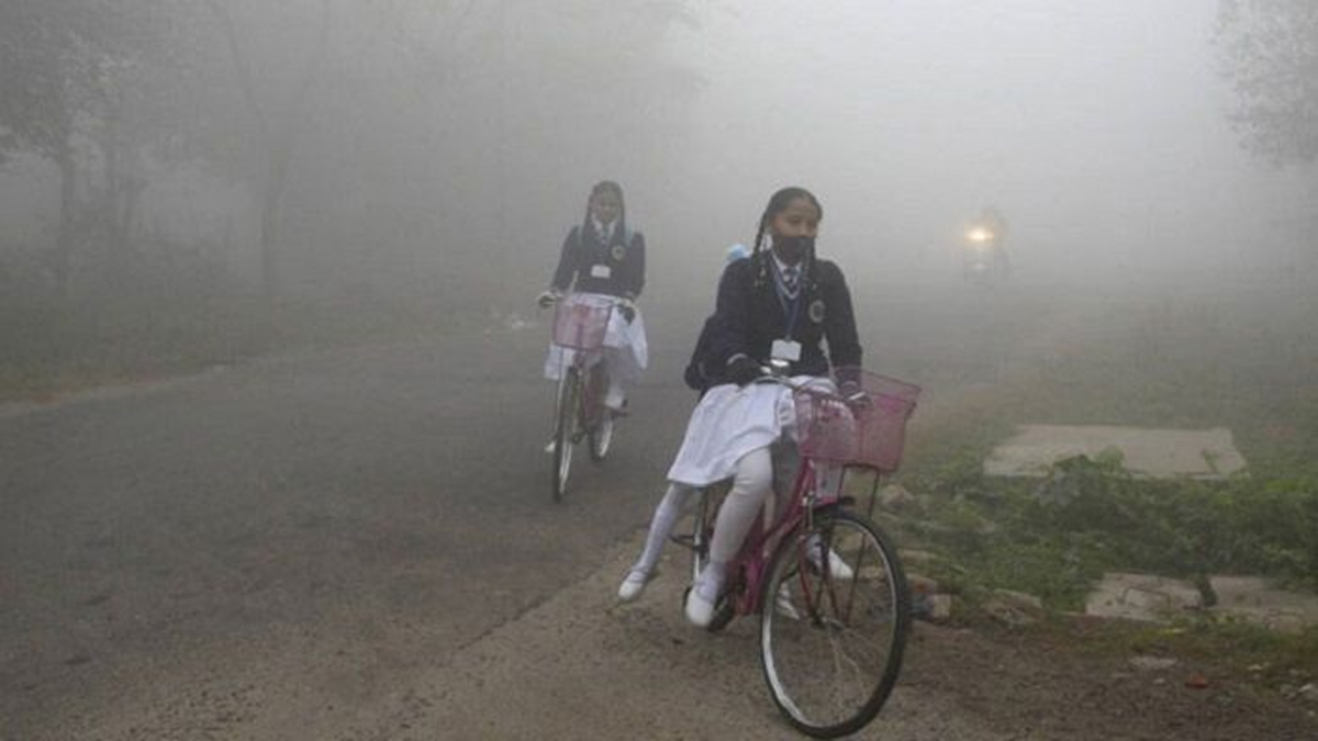 নাটোর ও টাঙ্গাইলের সকল মাধ্যমিক শিক্ষাপ্রতিষ্ঠান বন্ধের নির্দেশ