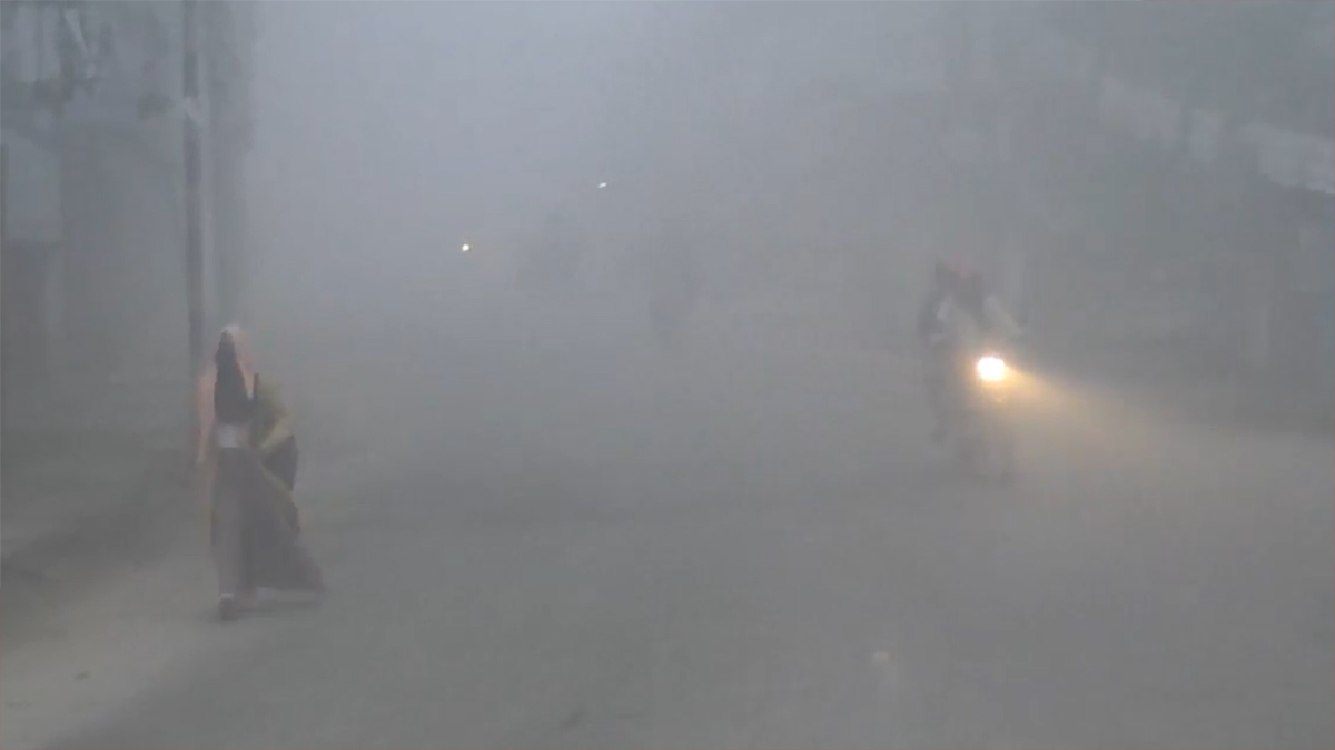 চুয়াডাঙ্গায় বইছে শৈত্যপ্রবাহ, বিপর্যস্ত জনজীবন