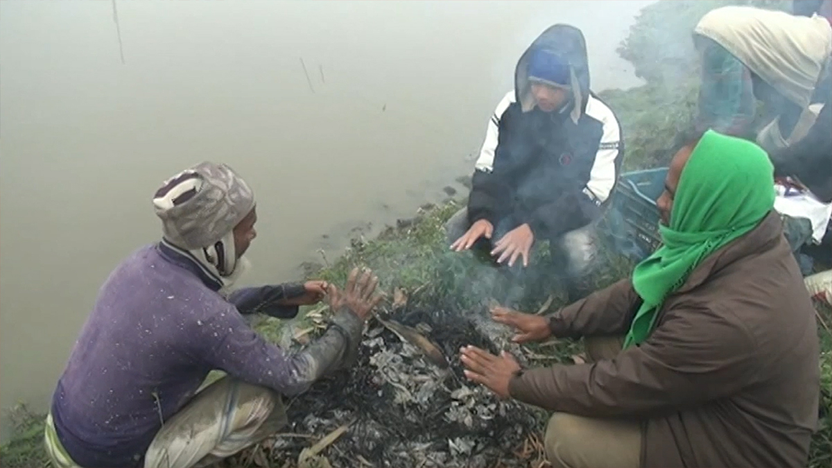 ঘন কুয়াশা ও হিমেল হাওয়ায় বিপর্যস্ত জনজীবন