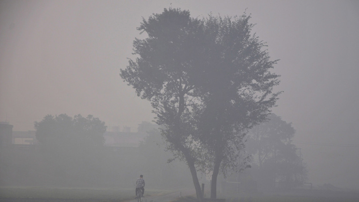 ১১ জেলায় তাপমাত্রার পারদ ঠেকেছে এক অঙ্কের ঘরে