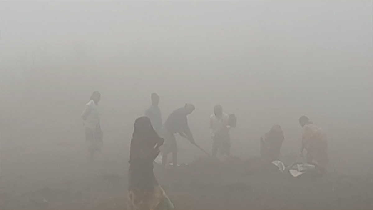 ঘন কুয়াশা ও শীতে জনজীবন ব্যাহত, বাড়ছে শীতবাহিত রোগ