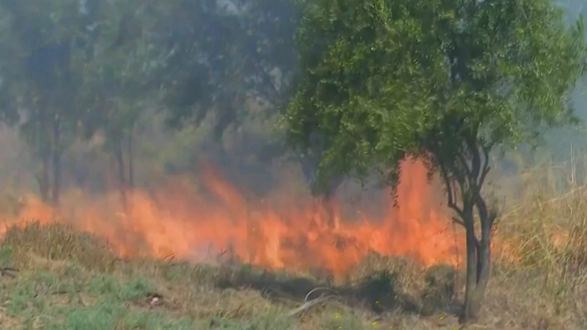 বেড়েই চলেছে চিলিতে দাবানল, প্রাণহানি বেড়ে ৯৯