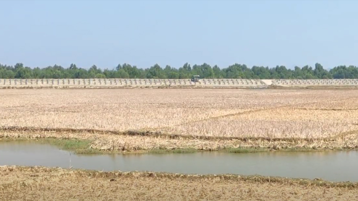 মর্টারশেলের ভয়াবহ শব্দে আবারও আতঙ্ক টেকনাফে