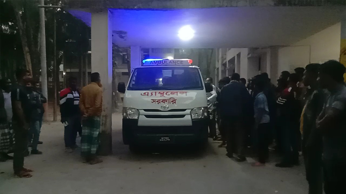 ভারত থেকে আসা বন্য হাতির আক্রমণে বাংলাদেশি যুবকের মৃত্যু