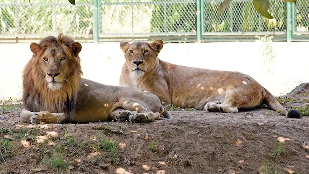 ‘আকবর’ ও ‘সীতা’ নাম পরিবর্তনে আদালতের নির্দেশ