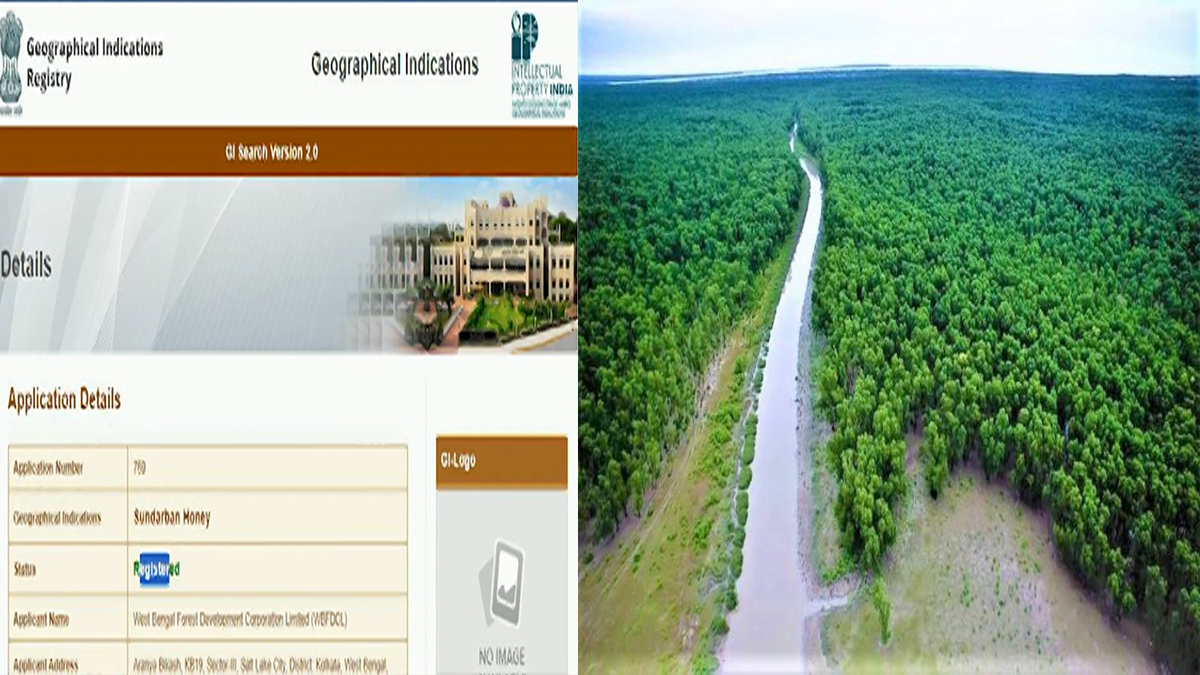 ৬৬ শতাংশ বনাঞ্চল বাংলাদেশে, সুন্দরবনের মধুর জিআই স্বত্ব ভারতের!