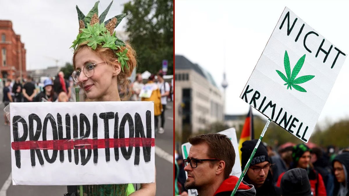 গাঁজার বৈধতা দিলো জার্মানি, সর্বোচ্চ বহন করা যাবে ২৫ গ্রাম