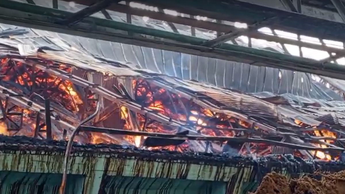 তিন দিনেও নিয়ন্ত্রণে আসেনি চট্টগ্রামে সুগার মিলের আগুন