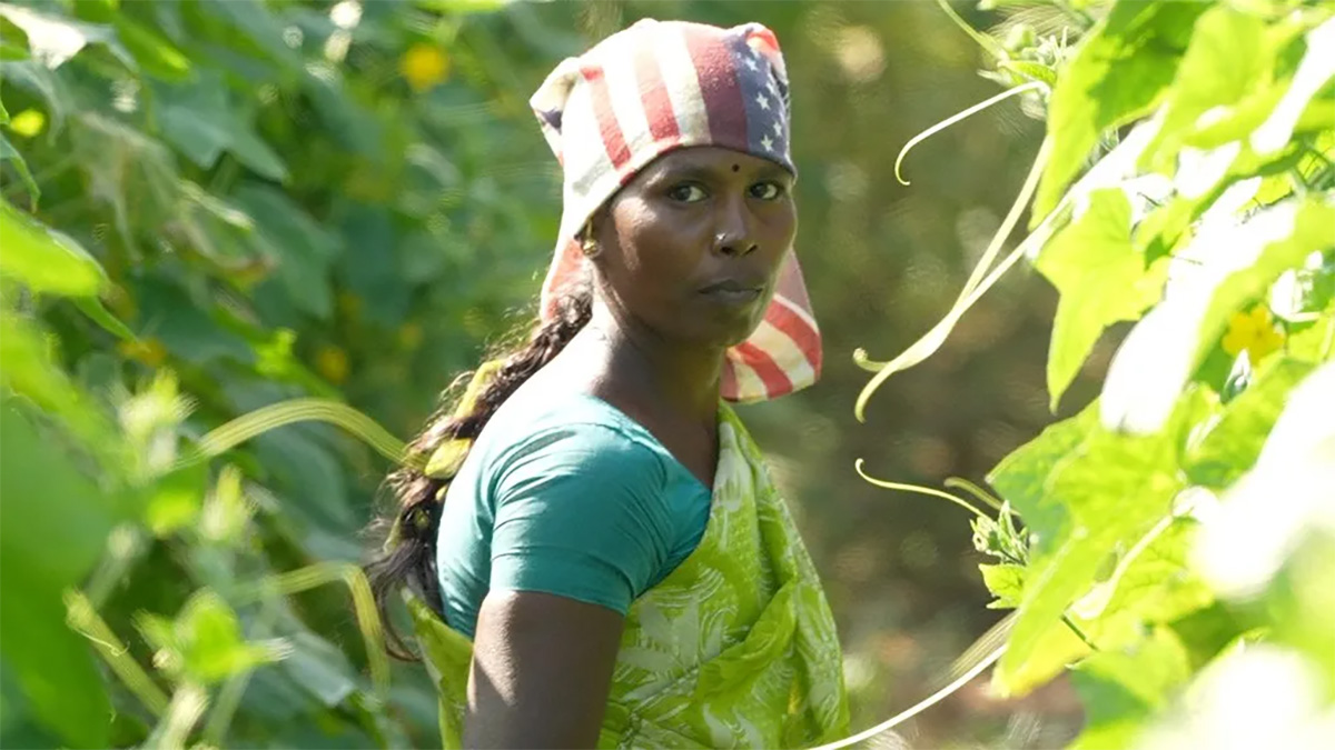 কর্মক্ষেত্রে প্রচণ্ড গরম বাড়ায় মৃত সন্তান প্রসবের ঝুঁকি