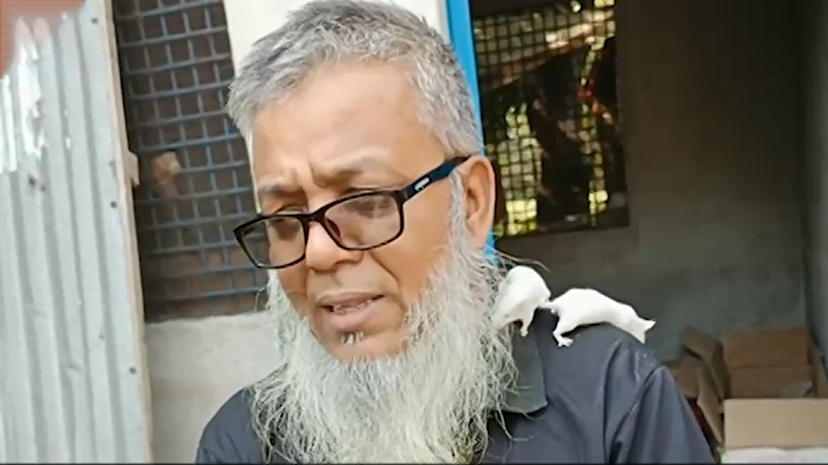 ইউটিউব দেখে ইঁদুরের খামার গড়ে সফল আখাউড়ার নাসির