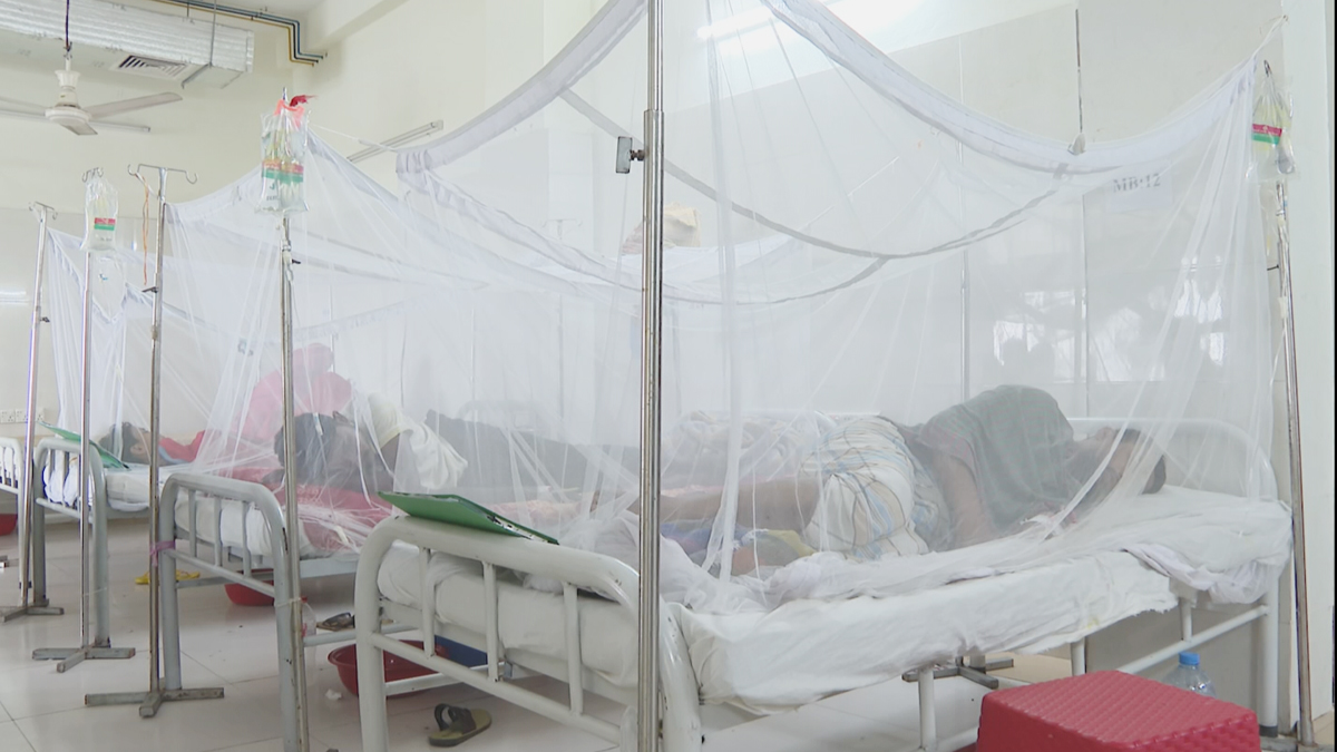 ‘মশা নিধনে তৎপর না হলে পরিস্থিতি আরও ভয়াবহ হবে’