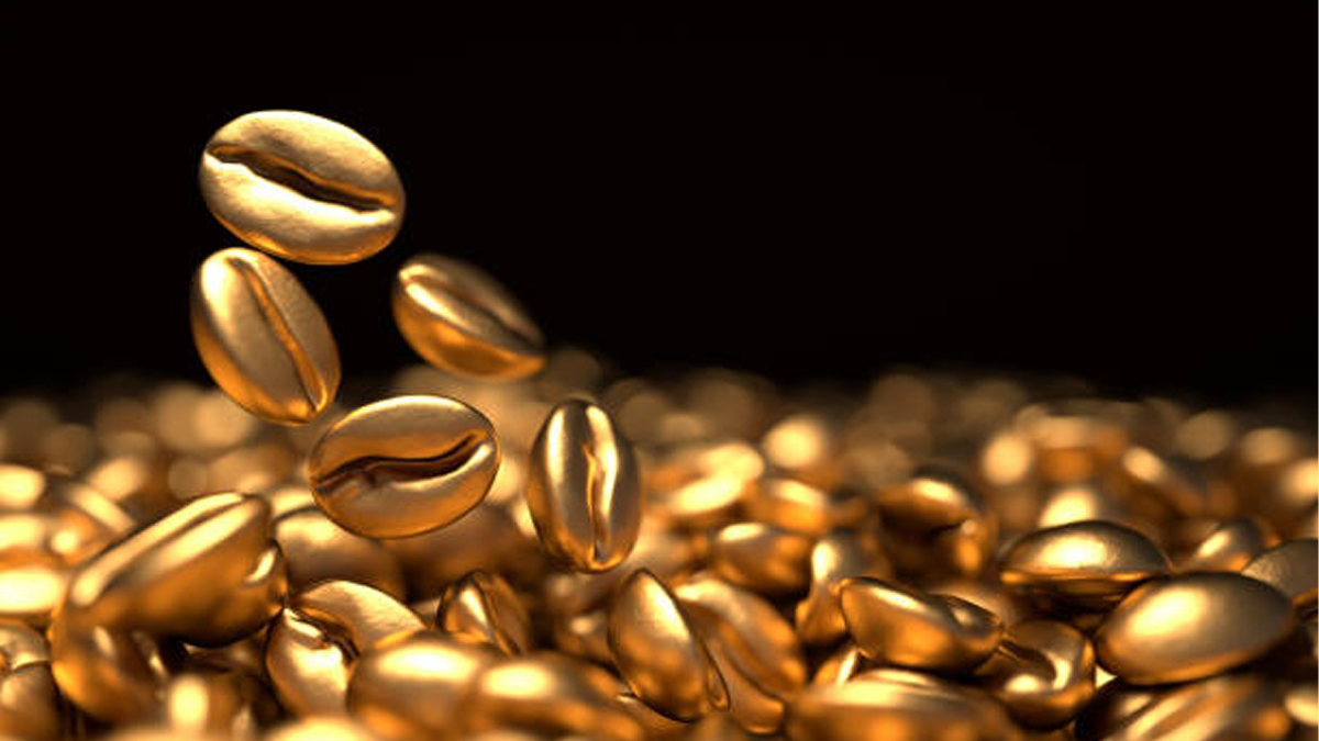 হঠাৎ স্বর্ণের বিন কেন জমাচ্ছে চীনা তরুণরা?