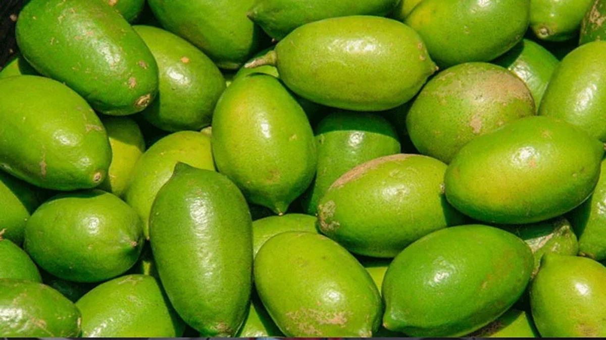 রাজধানীতে অস্বাভাবিক দামে বিক্রি হচ্ছে লেবু