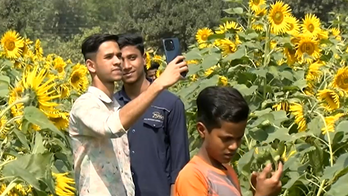 ময়মনসিংহে টিকটকারদের জ্বালায় অতিষ্ঠ হয়ে বাগানে টিকিট চালু করলেন মালিক