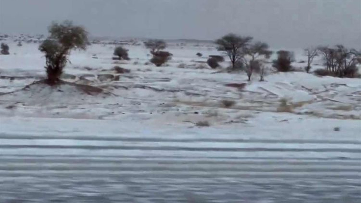 সৌদি আরবে বিরল তুষারপাত, ঢেকে গেছে মরুভূমি