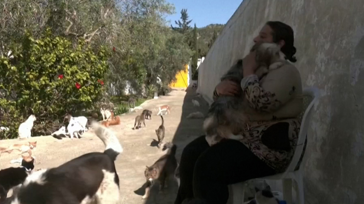 রাস্তার চার শতাধিক কুকুর-বিড়ালের আশ্রয়স্থল হুদা বোশাডার বাড়ি