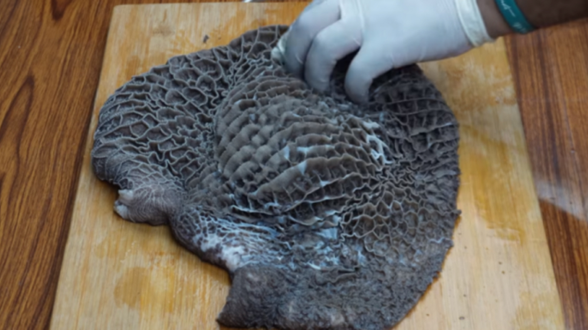 জেনে নিন চুন ছাড়া খুব সহজে ভুঁড়ি পরিষ্কারের কৌশল