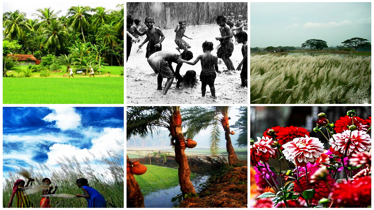 বেশিরভাগ মানুষের প্রিয় ঋতু কোনটি?