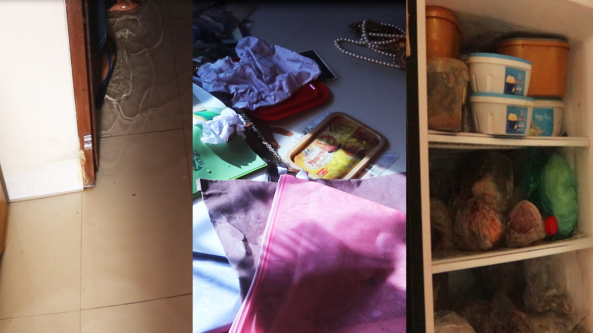 টাকা-স্বর্ণালংকারের পাশাপাশি ফ্রিজে থাকা মাছ-মাংসও চুরি করল চোর