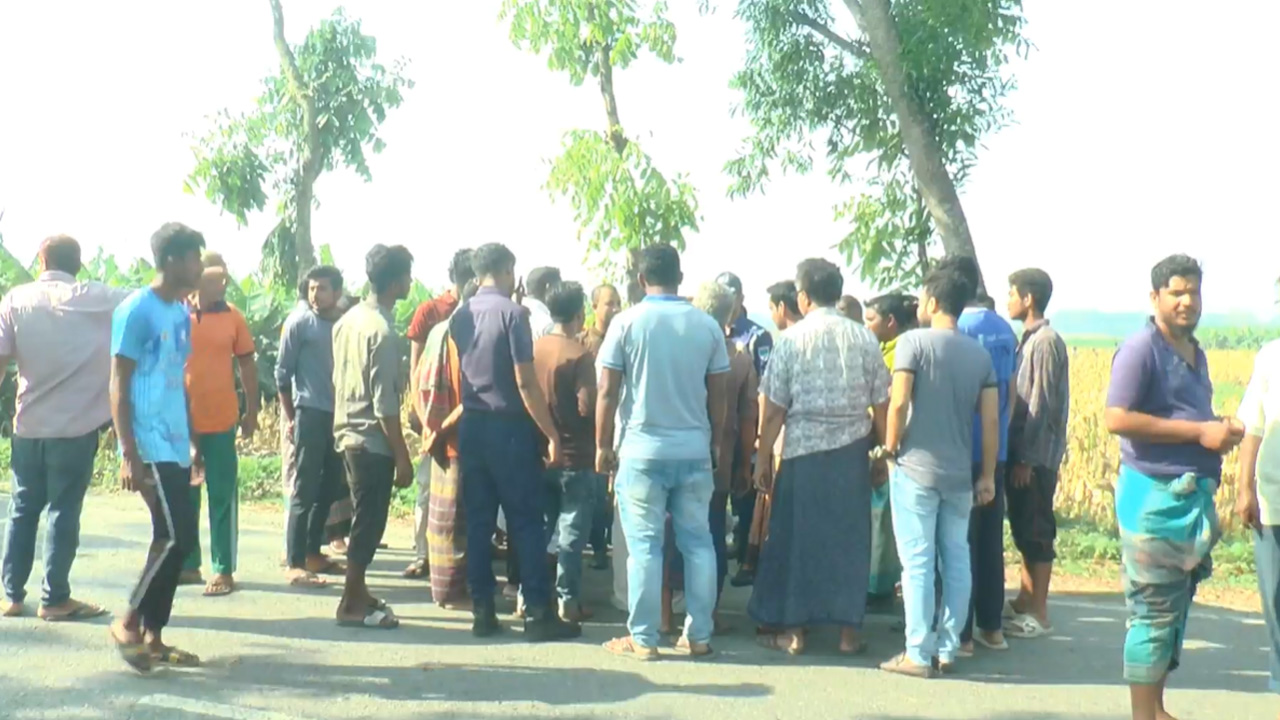 মেহেরপুরে সড়ক দুর্ঘটনায় ২ জনের মৃত্যু