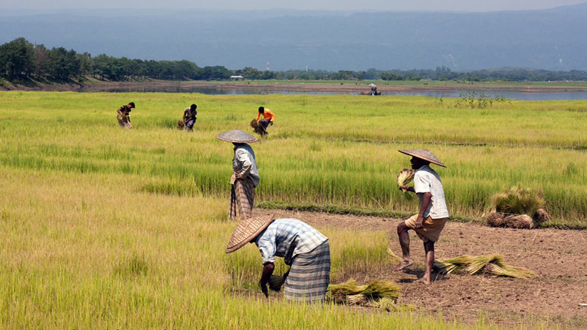 চুয়াডাঙ্গায় হিট স্ট্রোকে কৃষকের মৃত্যু