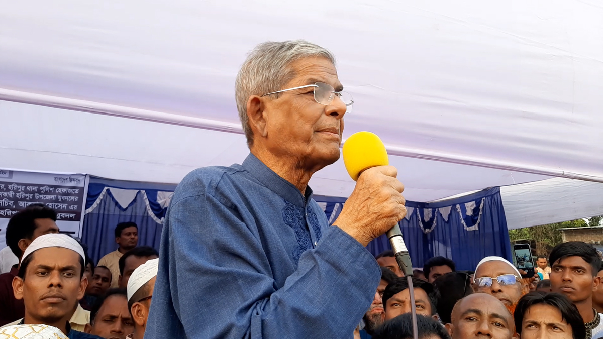 দেশে আওয়ামী লীগ নেই, রয়েছে পুলিশ লীগ: মির্জা ফখরুল