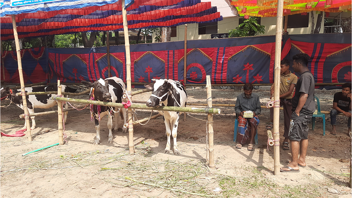 তেঁতুলিয়ায় দায়সারা প্রাণিসম্পদ মেলা, বরাদ্দের প্রশ্ন শুনে পালালেন কর্মকর্তা