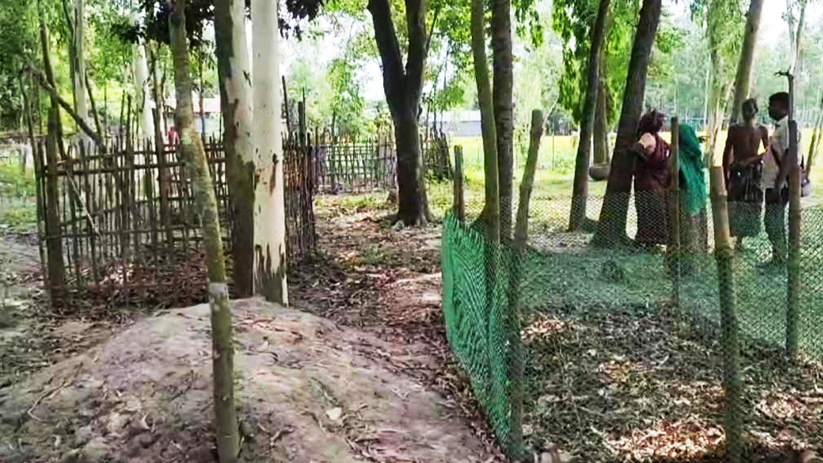 জামালপুরে পারিবারিক কবরস্থান থেকে সাত কঙ্কাল চুরি