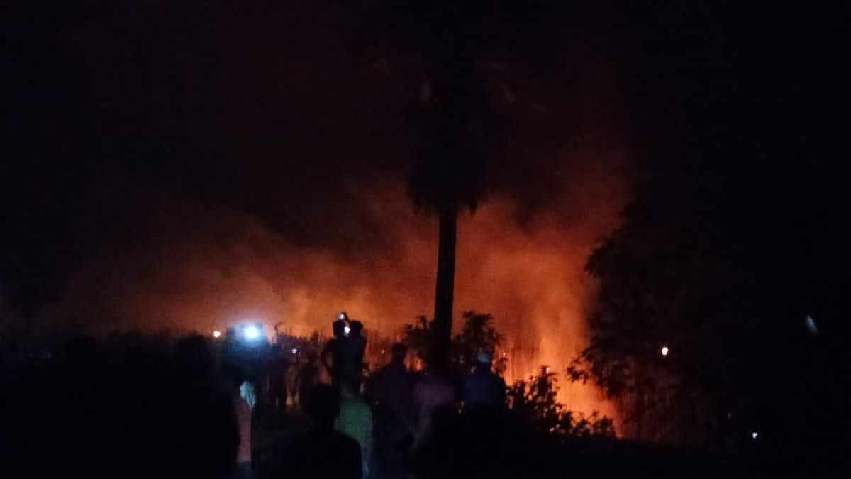 চুয়াডাঙ্গায় ভয়াবহ অগ্নিকাণ্ড; অন্তত ৭০ বিঘা পানবরজ পুড়ে ছাই