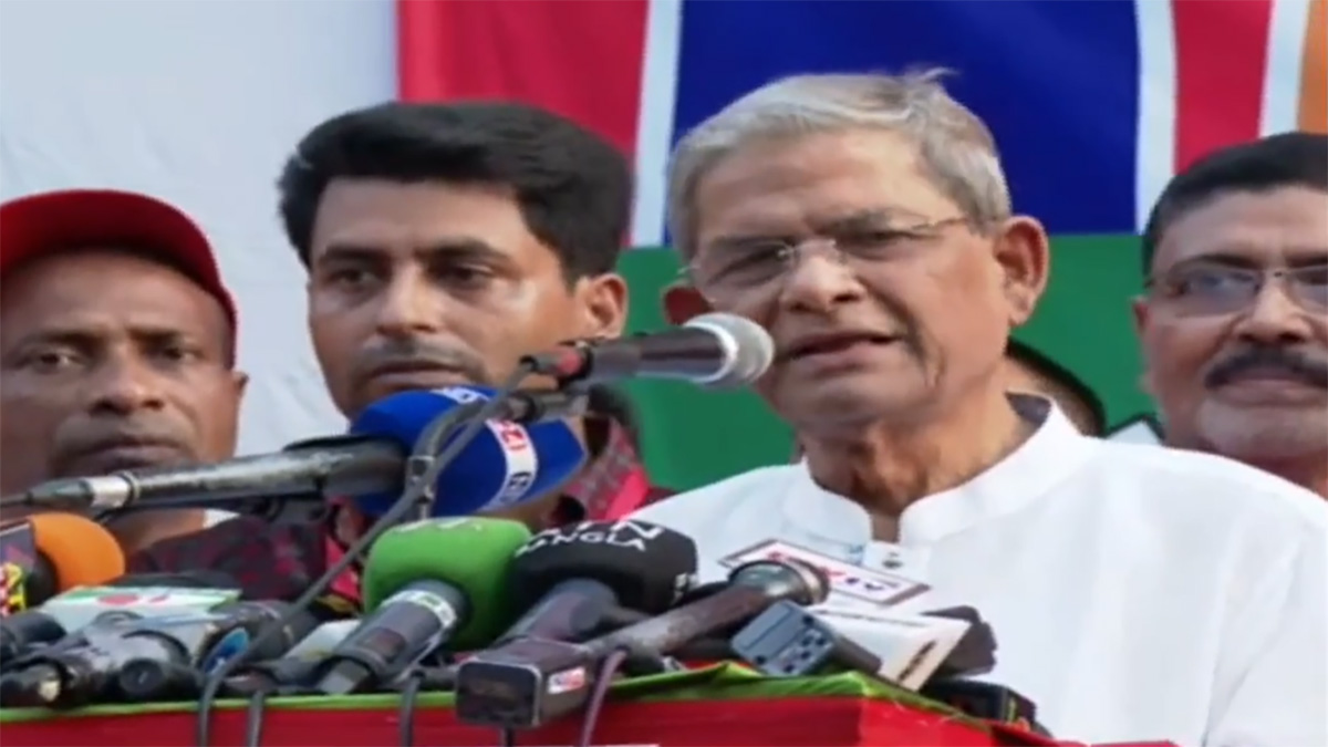 বিএনপি ফিনিক্স পাখির মতো জেগে উঠবে: মির্জা ফখরুল