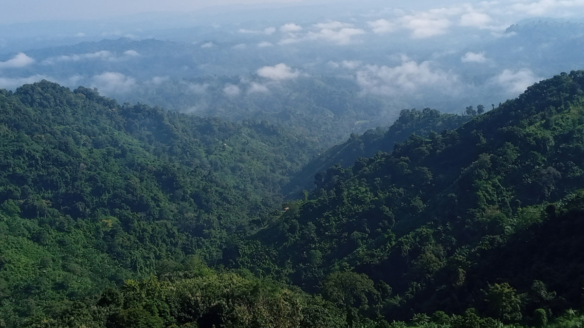 রুমায় সেনাবাহিনীর সঙ্গে বন্দুকযুদ্ধে কেএনএ’র ৩ সদস্য নিহত
