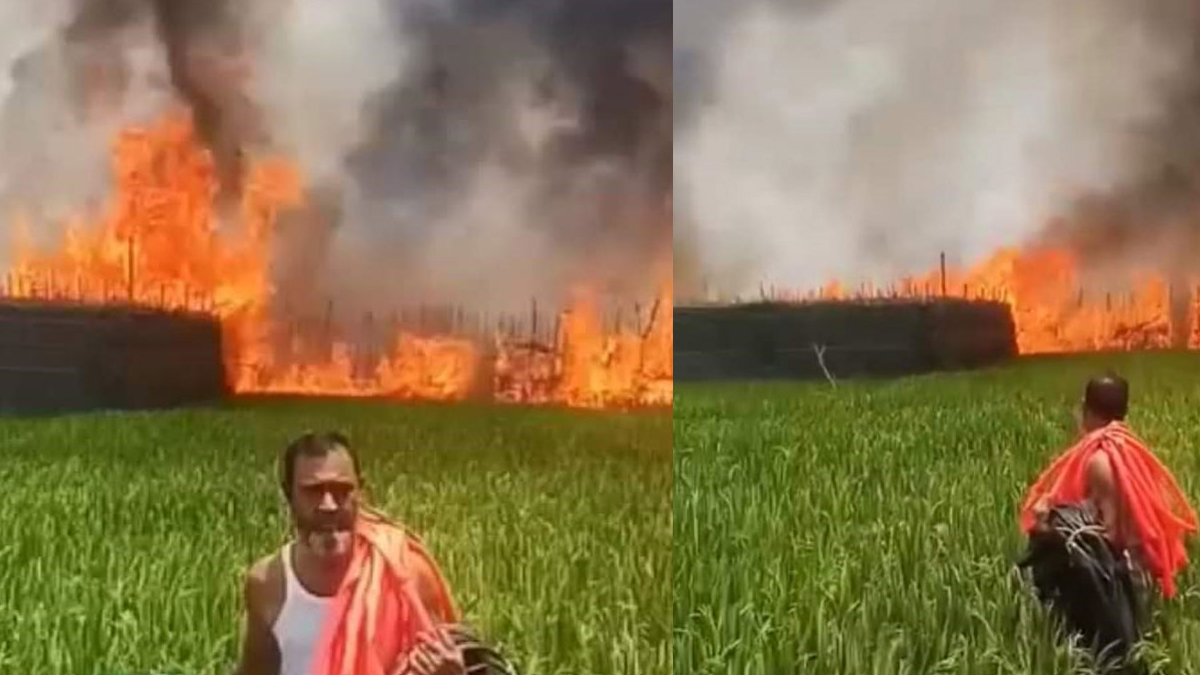 বাগমারায় আগুনে পুড়লো প্রায় ৫০টি পান বরজ