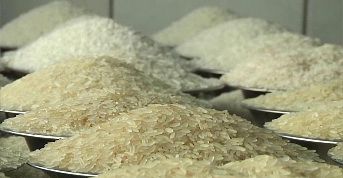 চালের দাম কমার আভাস